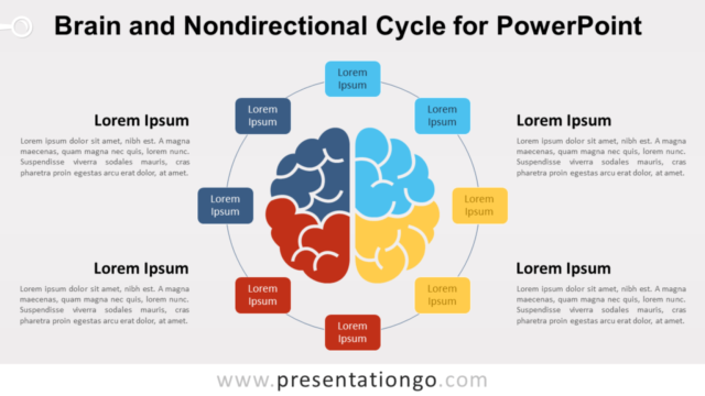 Ciclo No Direccional Y Cerebro Gratis Para PowerPoint