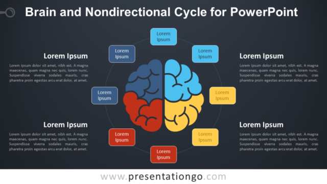 Ciclo No Direccional Y Cerebro Gratis Para PowerPoint