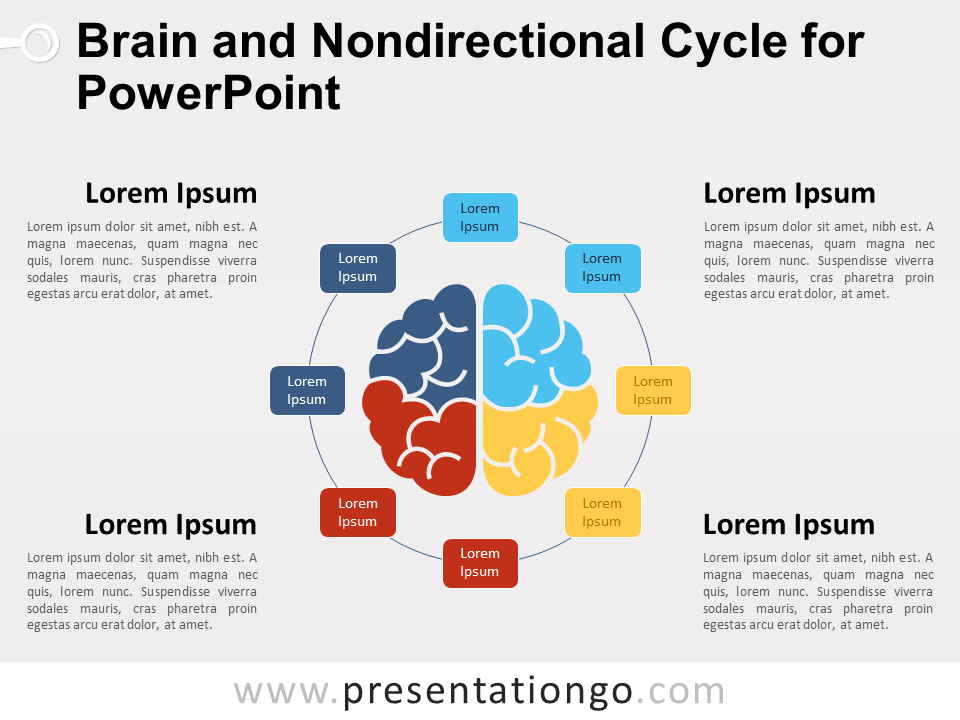 Ciclo No Direccional Y Cerebro Gratis Para PowerPoint