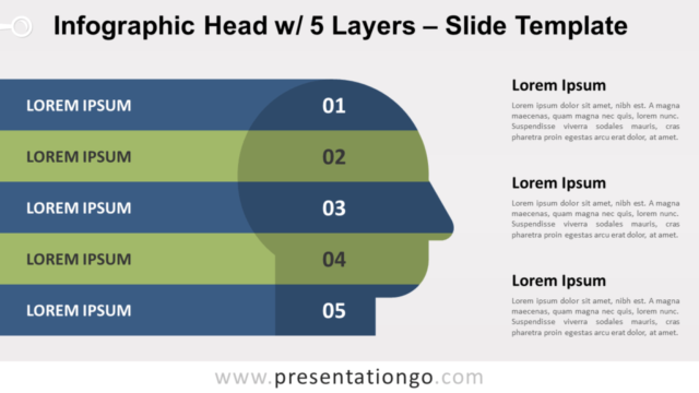 Cabeza Infografica Con 5 Capas Gratis Para PowerPoint Y Google Slides