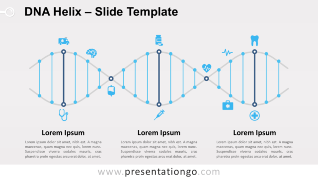 Hélice de ADN Gráfico Gratis Para PowerPoint Y Google Slides