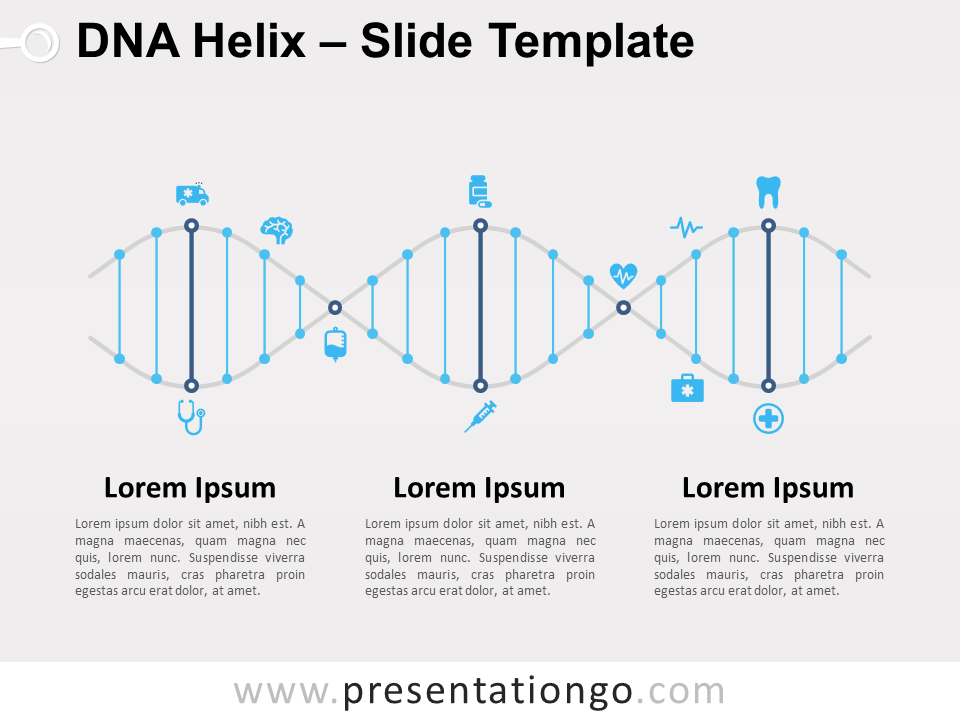 Hélice de ADN Gráfico Gratis Para PowerPoint Y Google Slides