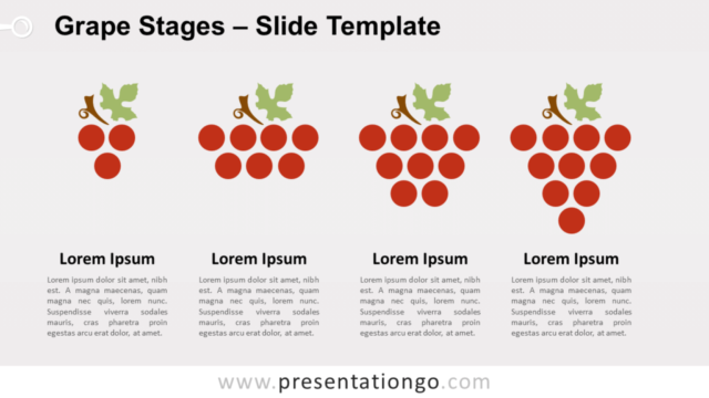 Etapas de Uvas Gráfico Gratis Para PowerPoint Y Google Slides