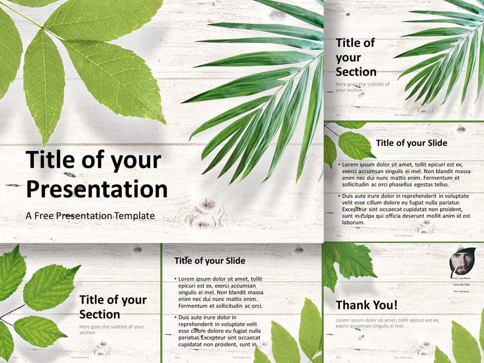 Plantilla Gratis de Hojas Verdes en Plano Para PowerPoint Y Google Slides