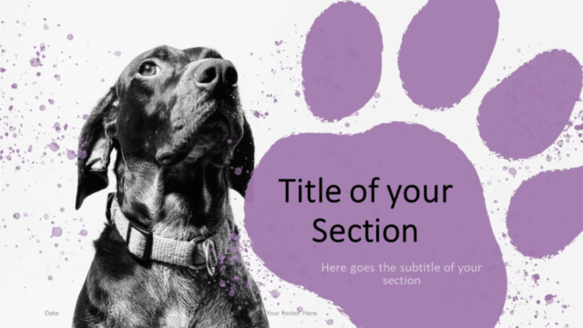 Plantilla Con Mascotas Gratis Para PowerPoint Y Google Slides - Diapositiva de Sección
